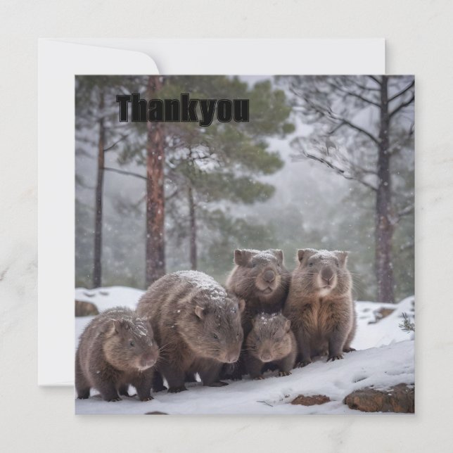 Frozen Burrow: Australian Wombat Family Thank You Card (Front)