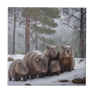 Frozen Burrow: Australian Wombat Family Tile