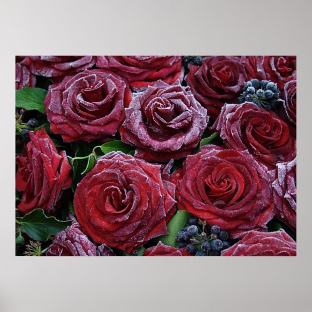 Frozen Dark Red Roses On A Grave Poster (Front)
