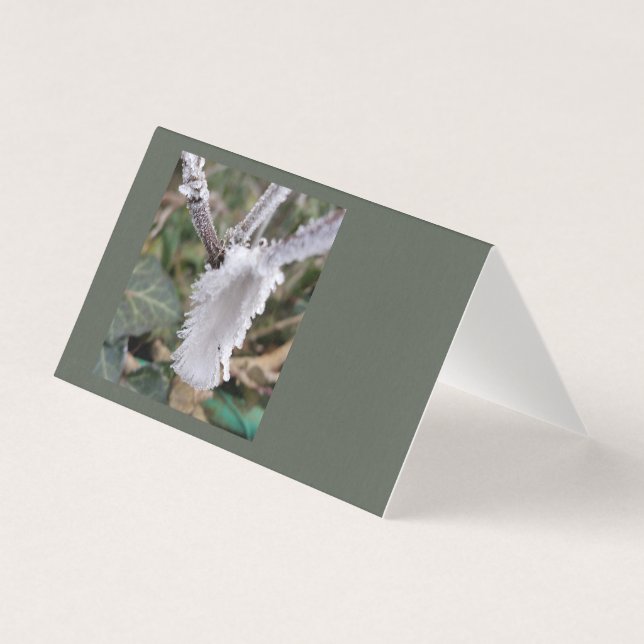 frozen feather (Front)