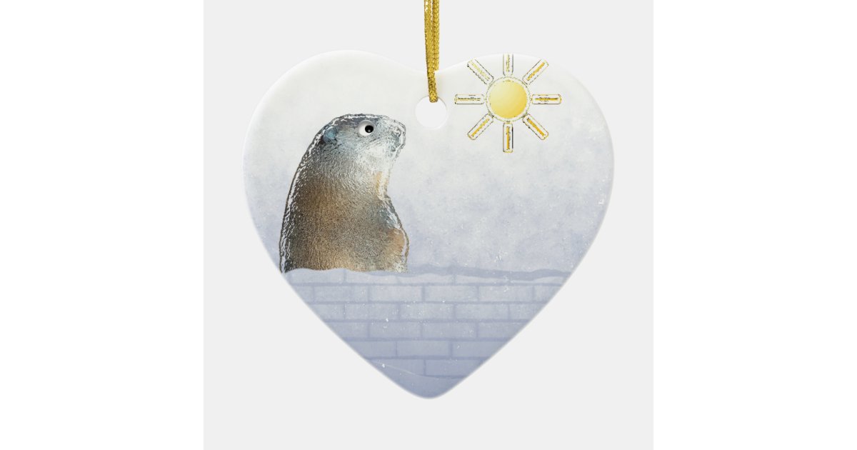 Frozen Groundhog Ceramic Tree Decoration Zazzle