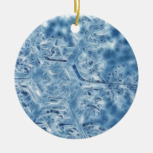 Frozen Ice Crystal Fractal Snowflake Ceramic Tree Decoration