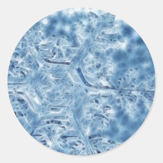 Frozen Ice Crystal Fractal Snowflake Classic Round Sticker (Front)
