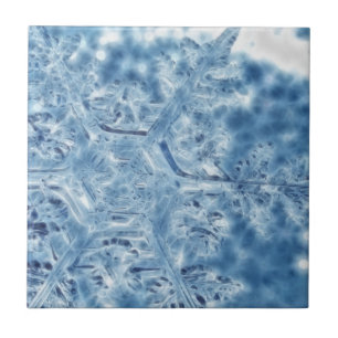 Frozen Ice Crystal Fractal Snowflake Tile