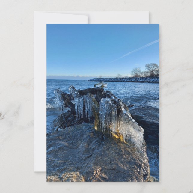 Frozen Landscape Icicles by the Lake (Front)