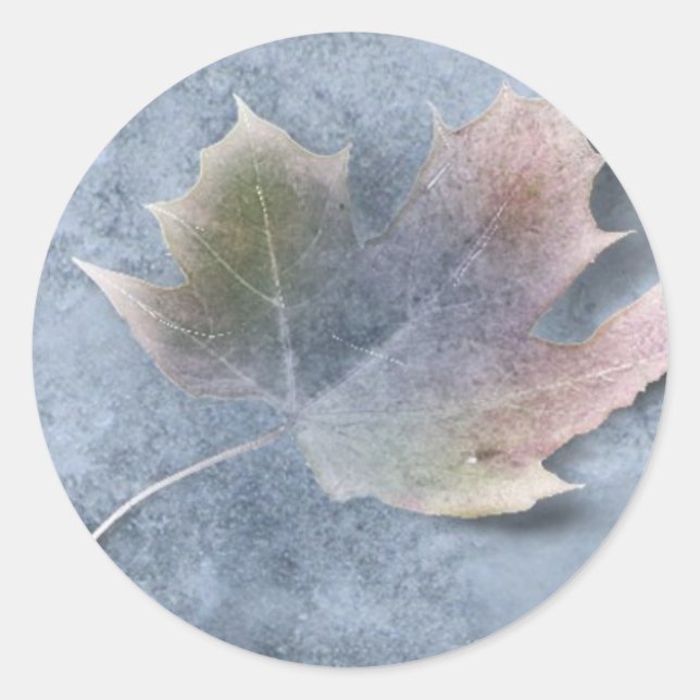 Frozen Leaf on Ice Classic Round Sticker (Front)