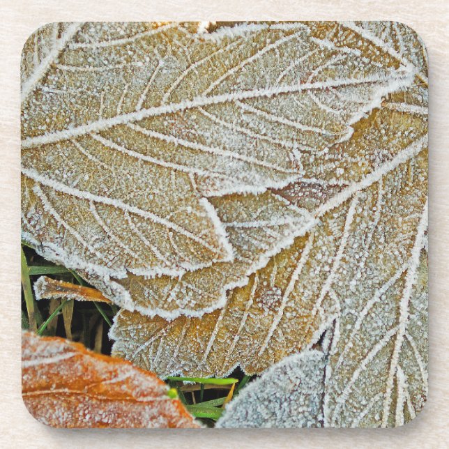 Frozen Maple Cork Coaster (Front)