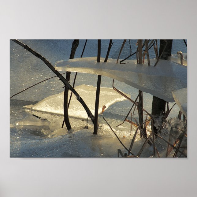 Frozen Marsh Ice Maine Winter Scenery Poster (Front)