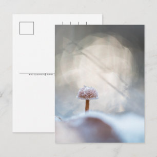 Frozen Mushroom Photo Holiday Postcard