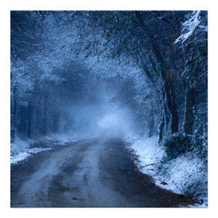 Frozen Photo Print