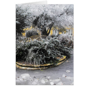 Frozen pond on a winter morning