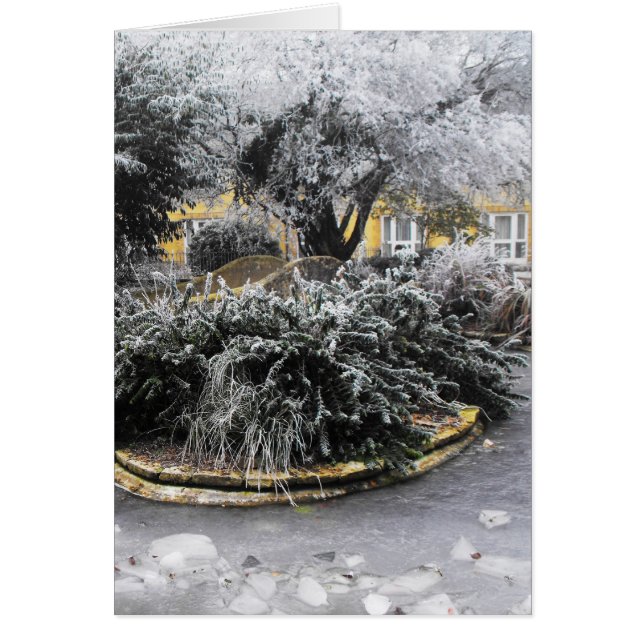 Frozen pond on a winter morning (Front)