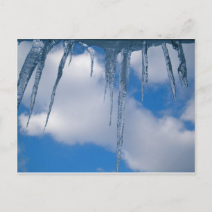 Frozen Postcard