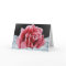 Frozen Rose Cards