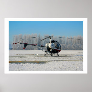 Frozen Schweizer 300C Poster