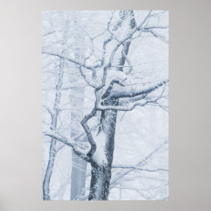 Frozen snowy tree poster