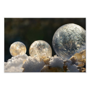 Frozen Soap Bubbles Ice Crystal Winter Paperprint Photo Print