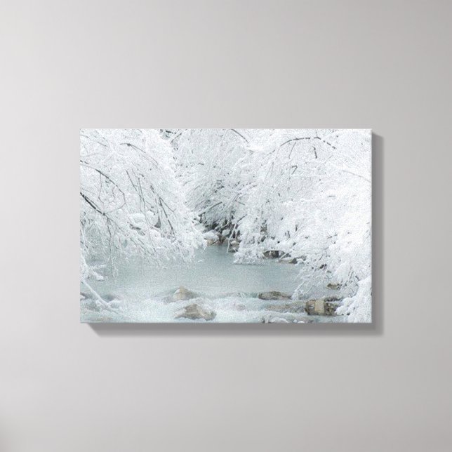 Frozen Stream - Canvas Print (Front)
