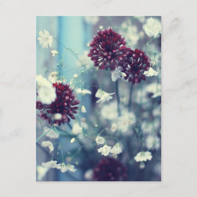 Frozen Summer Postcard (Front)