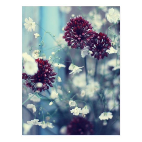 Frozen Summer Postcard