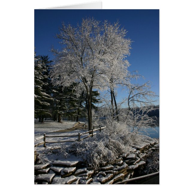 Frozen Tree (Front)