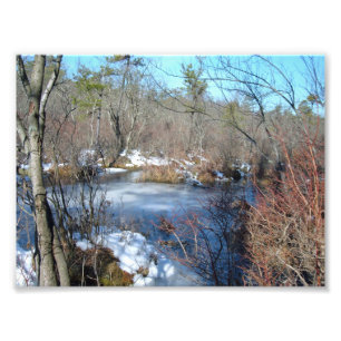 Frozen Wetlands Pond Photo Print