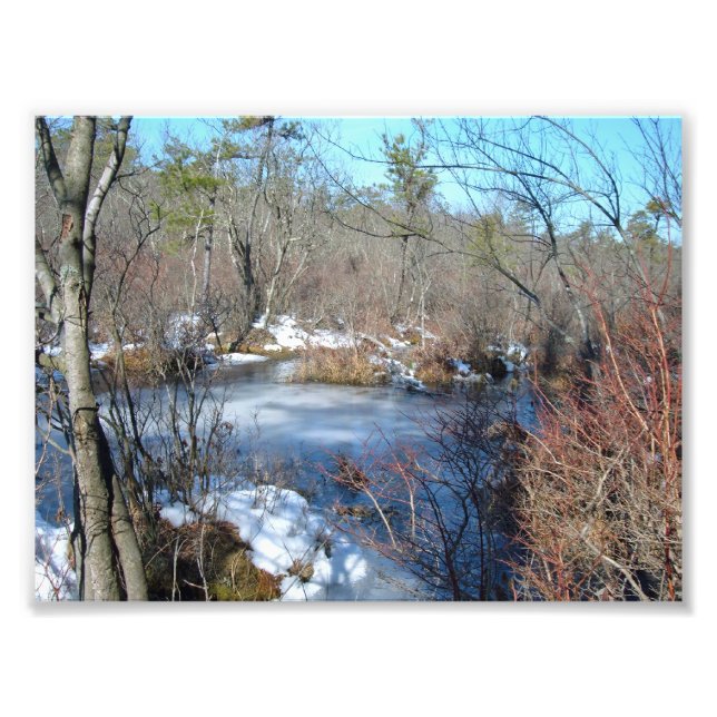 Frozen Wetlands Pond Photo Print (Front)