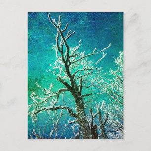 Frozen Winter Tree Postcard