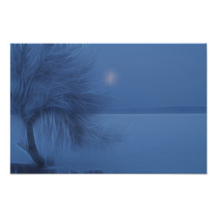 Frozen World - Photo Print