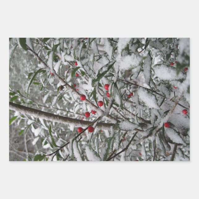 Frozen Wrapping Paper Sheet (Front 3)