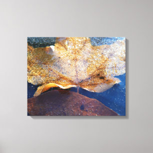 Frozen Yellow Maple Leaf Autumn Nature Canvas Print