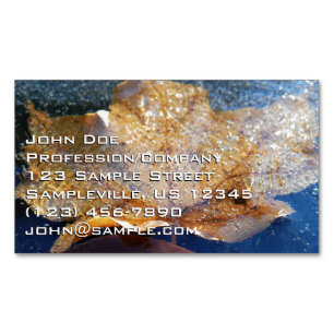 Frozen Yellow Maple Leaf Autumn Nature Magnetic Business Card