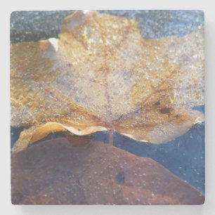 Frozen Yellow Maple Leaf Autumn Nature Stone Coaster