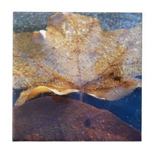 Frozen Yellow Maple Leaf Autumn Nature Tile