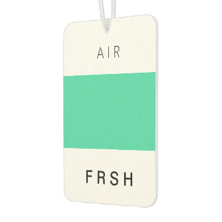 FRSH Eucalyptus Car Air Freshener