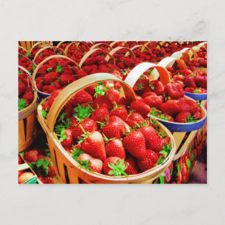 Fruit and Food Postcard 4