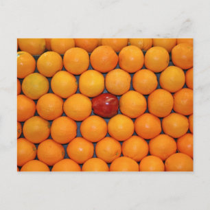 Fruit and Food Postcard 7