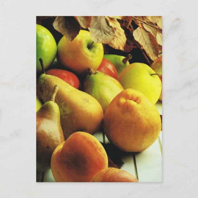 Fruit and vegetables, Apples and pears Postcard (Front)