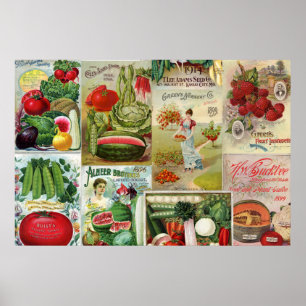 Fruit and Veggies Seed Catalog Collage Poster