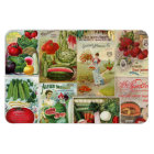 Fruit and Veggies Seed Catalogue Collage
