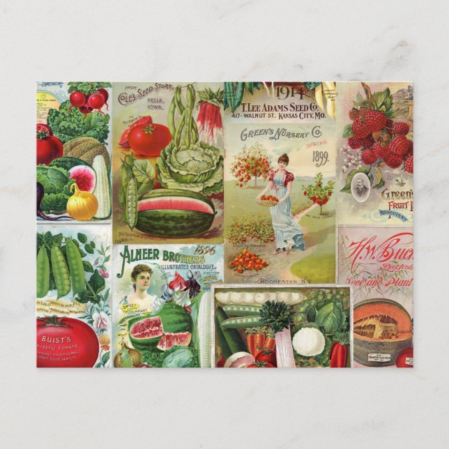 Fruit and Veggies Seed Catalogue Collage Postcard (Front)