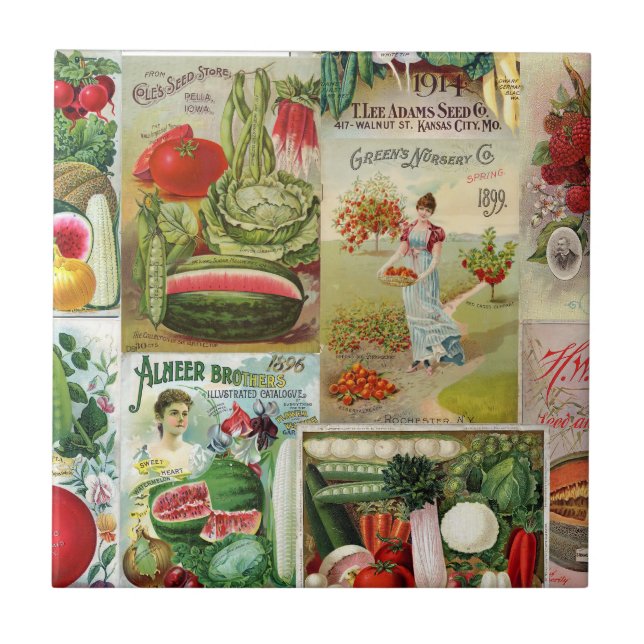 Fruit and Veggies Seed Catalogue Collage Tile (Front)