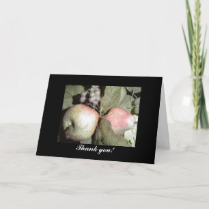 Fruit Arrangement Thank You