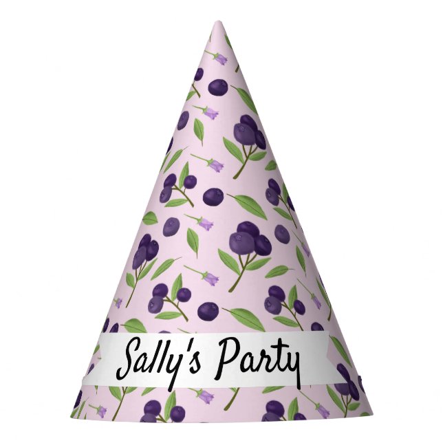 Fruit Basket Pattern Collection - Blueberries Party Hat (Front)