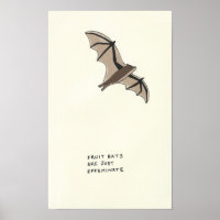 fruit bat trivia