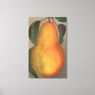 Fruit Chromo Lithograph of Bartlett Pear Canvas Print