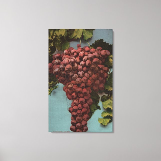 Fruit Chromo Lithograph of California Grapes Canvas Print (Front)