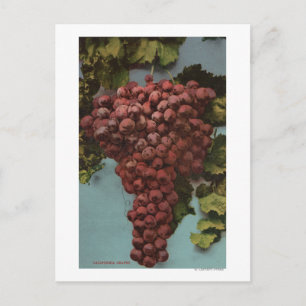 Fruit Chromo Lithograph of California Grapes Postcard