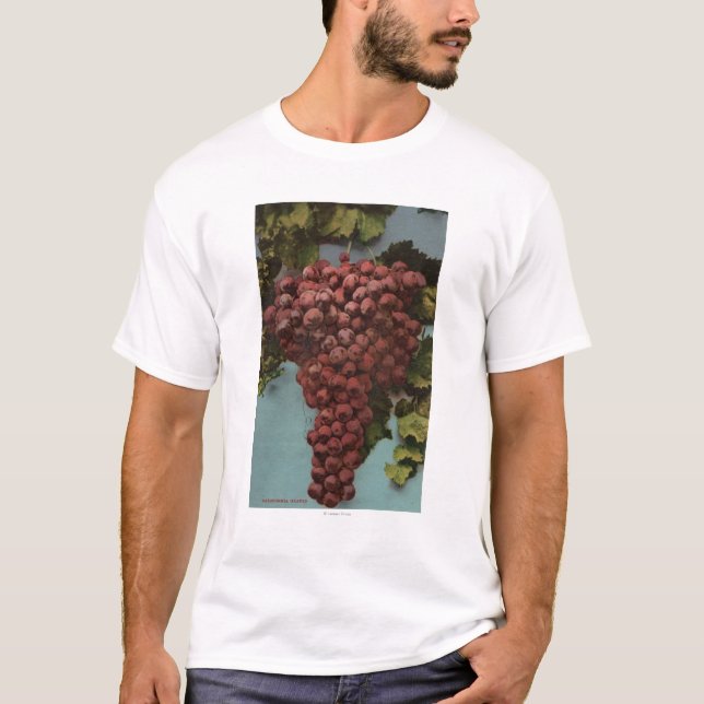 Fruit Chromo Lithograph of California Grapes T-Shirt (Front)