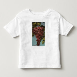 Fruit Chromo Lithograph of California Grapes Toddler T-Shirt